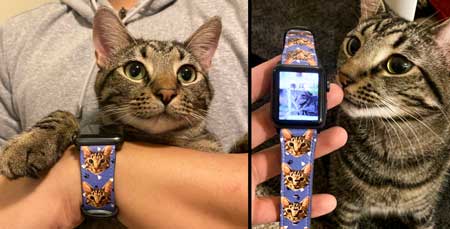 Brugerdefineret pet art portræt Apple urbånd